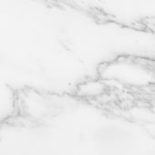 Florence 13X13F Bianco Matte | Young Interiors Flooring Center