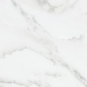 Florence 13X13F Bianco Matte | Young Interiors Flooring Center