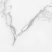 Florence 13X13F Bianco Matte | Young Interiors Flooring Center