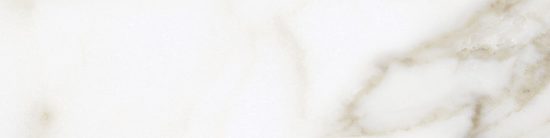Florence 3x12 Calacatta Matte Bullnose | Young Interiors Flooring Center