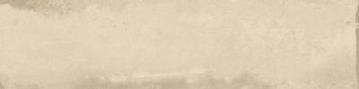 Grand Cayman East End Biscuit 3×12  Bullnose