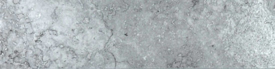 Grigio 3X12 Bullnose | Young Interiors Flooring Center