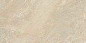 Impero Reale 12x24 Honed | Young Interiors Flooring Center