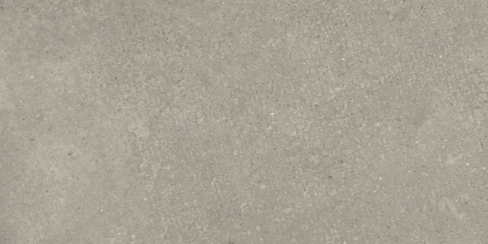 Madison 12X24F Forge Matte