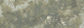Madrid 3x9" Musgo | Young Interiors Flooring Center