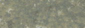 Madrid 3x9" Musgo | Young Interiors Flooring Center