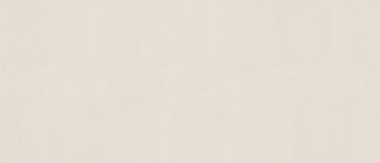 Marmiline Ivory 12x28 Niche | Young Interiors Flooring Center