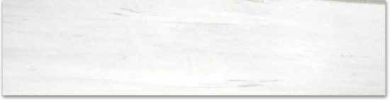 Matte 3X12 Devotion Bullnose | Young Interiors Flooring Center