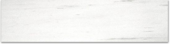 Matte 3X12 Devotion Bullnose | Young Interiors Flooring Center
