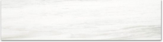 Matte 3X12 Devotion Bullnose | Young Interiors Flooring Center