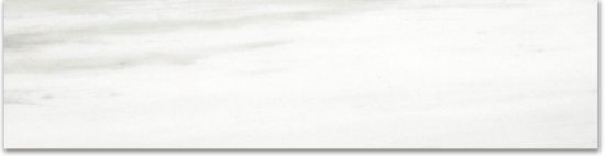 Matte 3X12 Devotion Bullnose | Young Interiors Flooring Center
