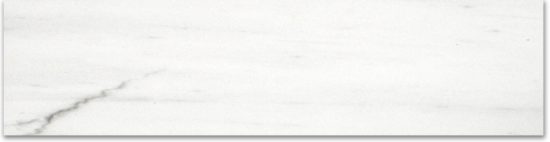 Matte 3X12 Devotion Bullnose | Young Interiors Flooring Center