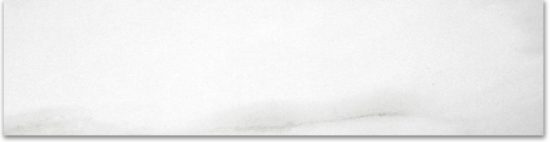 Matte 3X12 Infatuation Bullnose | Young Interiors Flooring Center