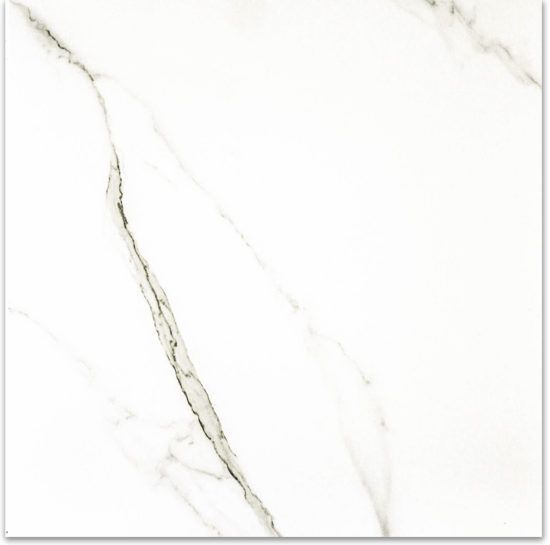 Matte Adoration 24X24 | Young Interiors Flooring Center