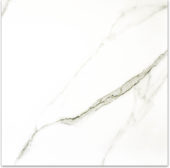 Matte Adoration 24X24 | Young Interiors Flooring Center