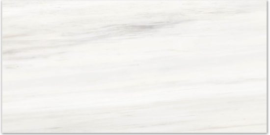 Matte Devotion 16X32 | Young Interiors Flooring Center