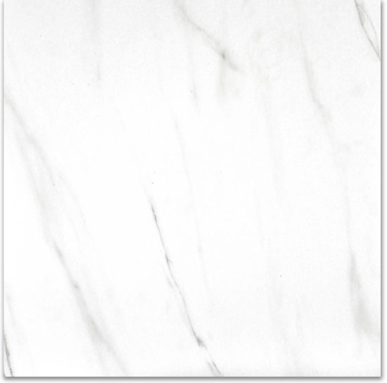 Matte Infatuation 24X24 | Young Interiors Flooring Center