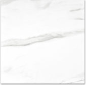 Matte Infatuation 24X24 | Young Interiors Flooring Center