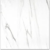 Matte Infatuation 24X24 | Young Interiors Flooring Center