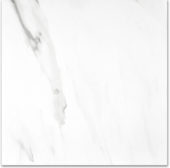 Matte Infatuation 24X24 | Young Interiors Flooring Center