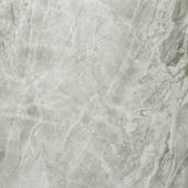 Matte Inspiration 24X24 | Young Interiors Flooring Center