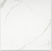 Matte Love 24X24 | Young Interiors Flooring Center