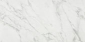 Milano Statuario Honed 12X24 | Young Interiors Flooring Center