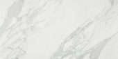 Milano Statuario Honed 12X24 | Young Interiors Flooring Center