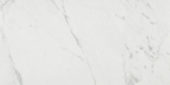Milano Statuario Honed 12X24 | Young Interiors Flooring Center