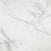 Milano Statuario Honed 24X24 | Young Interiors Flooring Center