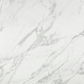Milano Statuario Honed 24X24 | Young Interiors Flooring Center