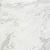 Milano Statuario Honed 32X32 | Young Interiors Flooring Center