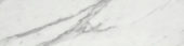 Milano Statuario Honed 3X12 Bullnose | Young Interiors Flooring Center