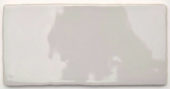 Moonlight 3X6W | Young Interiors Flooring Center