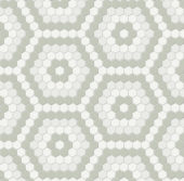 Morning Blend Matte Hexagon Pattern Mosaic | Young Interiors Flooring Center