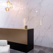 Olympus Gloss Wall Panel 24x48 | Young Interiors Flooring Center