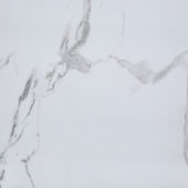 Olympus Matte Wall Panel 24x48 | Young Interiors Flooring Center