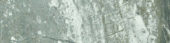 Parana 4X12 | Young Interiors Flooring Center