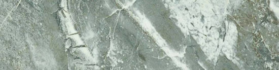 Parana 4X12 | Young Interiors Flooring Center