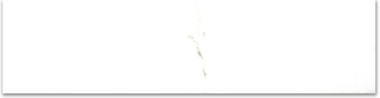 Polished 3X12 Adoration Bullnose | Young Interiors Flooring Center