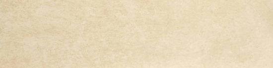 Polished 3X12 Affection Bullnose | Young Interiors Flooring Center