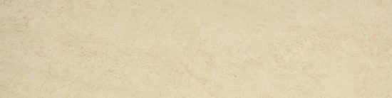 Polished 3X12 Affection Bullnose | Young Interiors Flooring Center