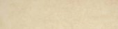 Polished 3X12 Affection Bullnose | Young Interiors Flooring Center