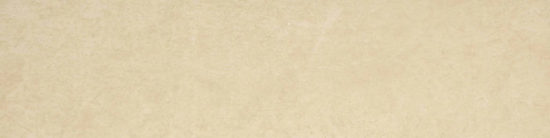 Polished 3X12 Affection Bullnose | Young Interiors Flooring Center