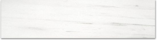 Polished 3X12 Devotion Bullnose | Young Interiors Flooring Center