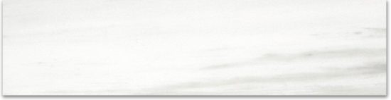 Polished 3X12 Devotion Bullnose | Young Interiors Flooring Center