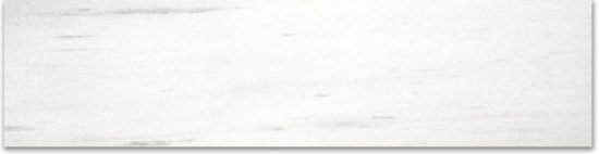 Polished 3X12 Devotion Bullnose | Young Interiors Flooring Center