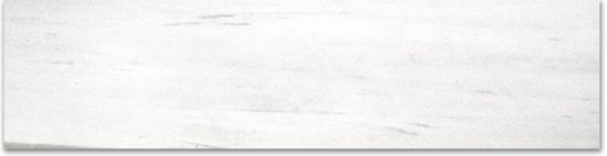 Polished 3X12 Devotion Bullnose | Young Interiors Flooring Center