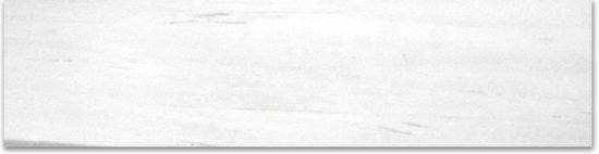 Polished 3X12 Devotion Bullnose | Young Interiors Flooring Center