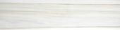 Polished 3X12 Enchantment Bullnose | Young Interiors Flooring Center